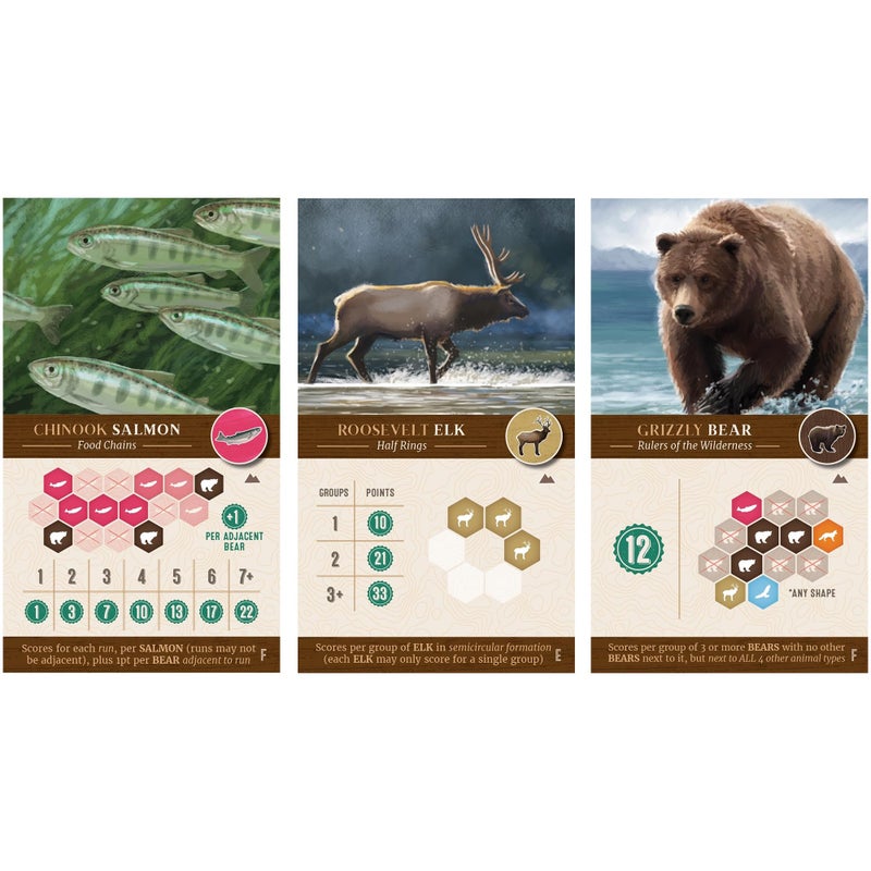 AEG & Flatout Games | Cascadia: Landmarks - Expansion for Award-Winning Board Game, Cascadia | Easy to Learn | Quick to Play | Ages 10+ | Adds 5th & 6th player - Image 4
