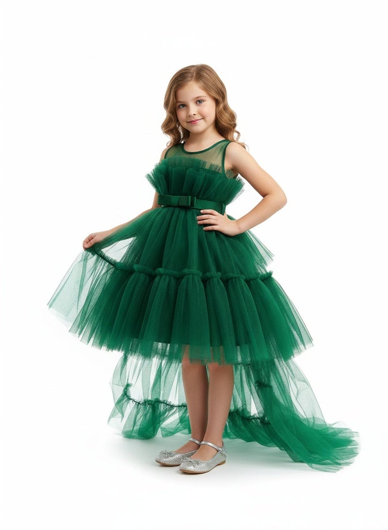 D'Daniela Emerald Tulle Dress - Image 1