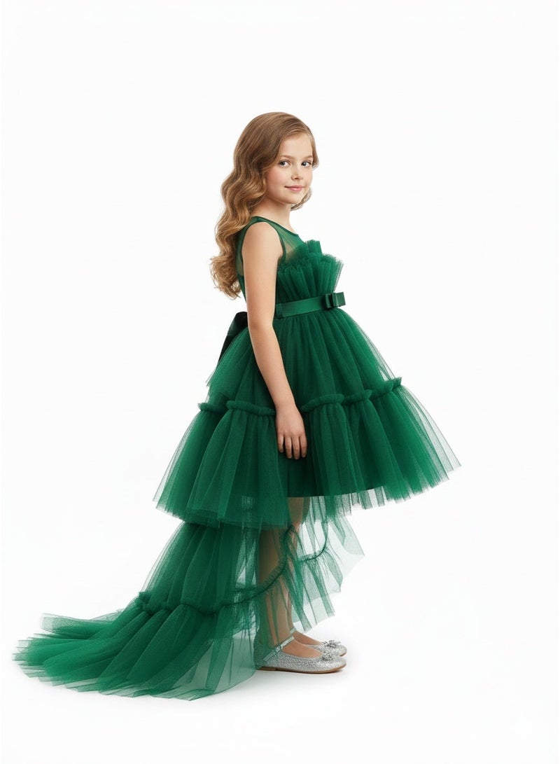 D'Daniela Emerald Tulle Dress - Image 4