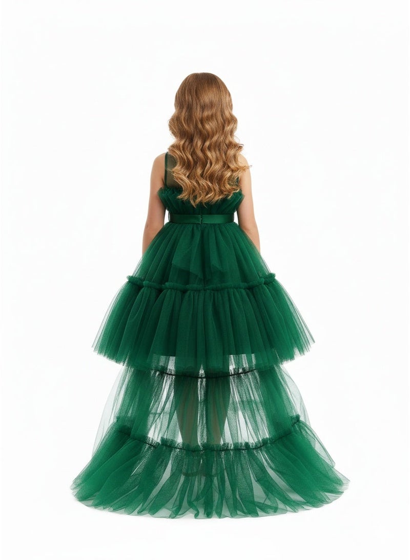 D'Daniela Emerald Tulle Dress - Image 3