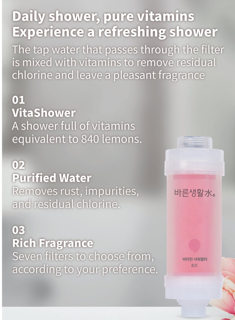 Bareunsoo Korean shower filter (Rose) - Image 3