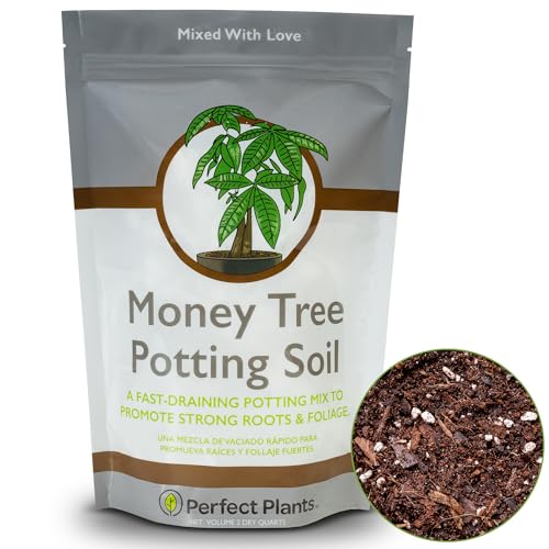 PERFECT PLANTS تربة زراعة شجرة المال المثالية 2qt | مزيج نباتي عضوي قائم على جوز الهند للأشجار الداخلية | انمو غابتك الداخلية بسرعة (2qt) - Image 1