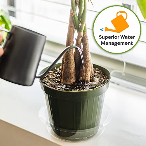 PERFECT PLANTS تربة زراعة شجرة المال المثالية 2qt | مزيج نباتي عضوي قائم على جوز الهند للأشجار الداخلية | انمو غابتك الداخلية بسرعة (2qt) - Image 3