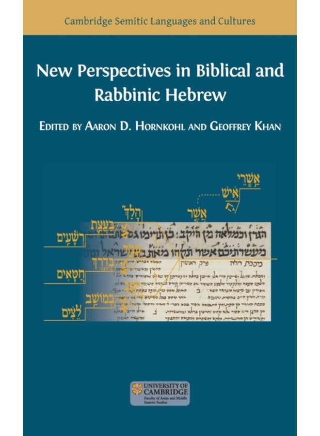 New Perspectives in Biblical and Rabbinic Hebrew - Hardback