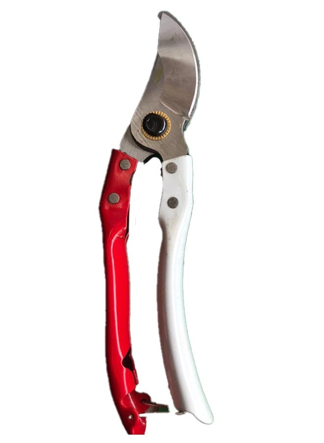 The pruning shears are a highly efficient agricultural tool specifically designed for pruning trees, climbing plants, and rose bushes. Their excellent quality and performance make them the ideal choice for farmers and gardening enthusiasts.