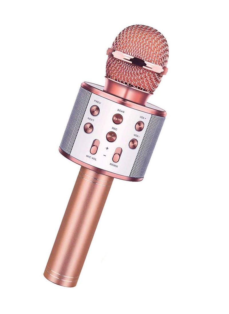D-03 Advanced Multifunctional Wireless Bluetooth Portable Karaoke Singing Microphone Speaker