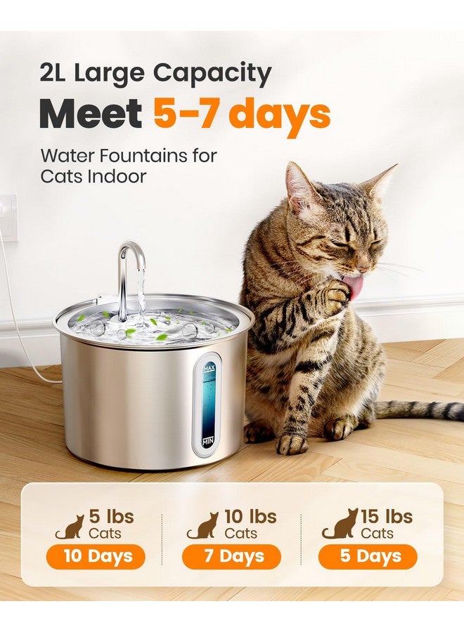 oneisall Stainless Steel Cat Water Fountain, 2L Water Fountains for Cats Indoor with Quiet Pump and 3 Replacement Filters, Pet Water Fountain Faucet Spout Design Cat Fountain Drinking Inside, PWF 001 - Image 2