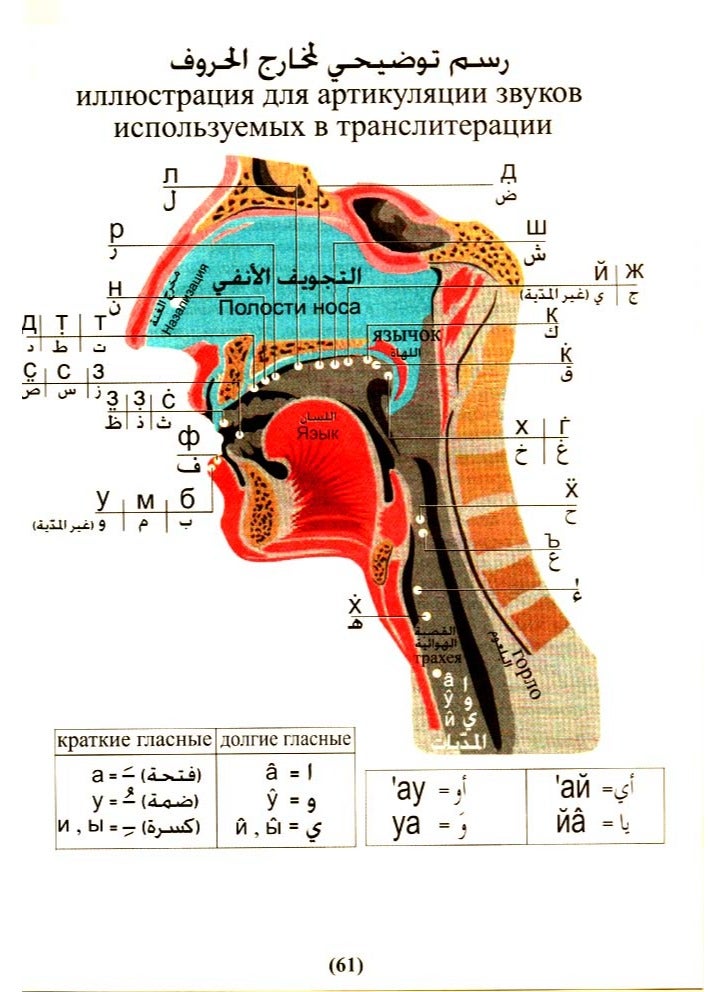 Tajweed Qur’an with translation of meanings and literal translation17*24 - Russian - Image 5