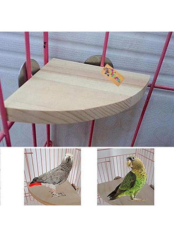 ويستيرن إرا منصة زاوية/مجثم/حامل لعبة الطيور (طيور متوسطة الحجم) (7 بوصات) - Image 3