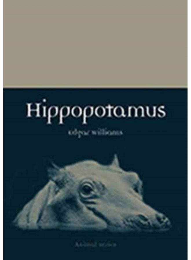 Hippopotamus - Paperback