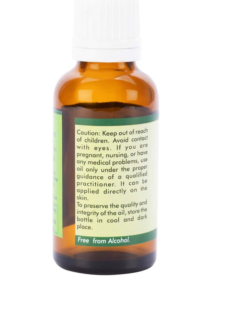 r v essential R V Essential Apricot Kernel Oil | Prunus Armeniaca | Unrefined | for Skin Care, Face, Nails, Body, Hair Care, Scalp, Nourishing, Hydrating | 100% Pure Natural | Cold Pressed | 50ml | 1.69oz  - Image 2