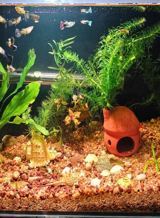 M2cbridge Pottery Ceramic Jar Natural Clay Vase Cichlid Small Fish Shrimp to Play Hide Breed Habitat (Red Clay, 2pcs) - Image 4