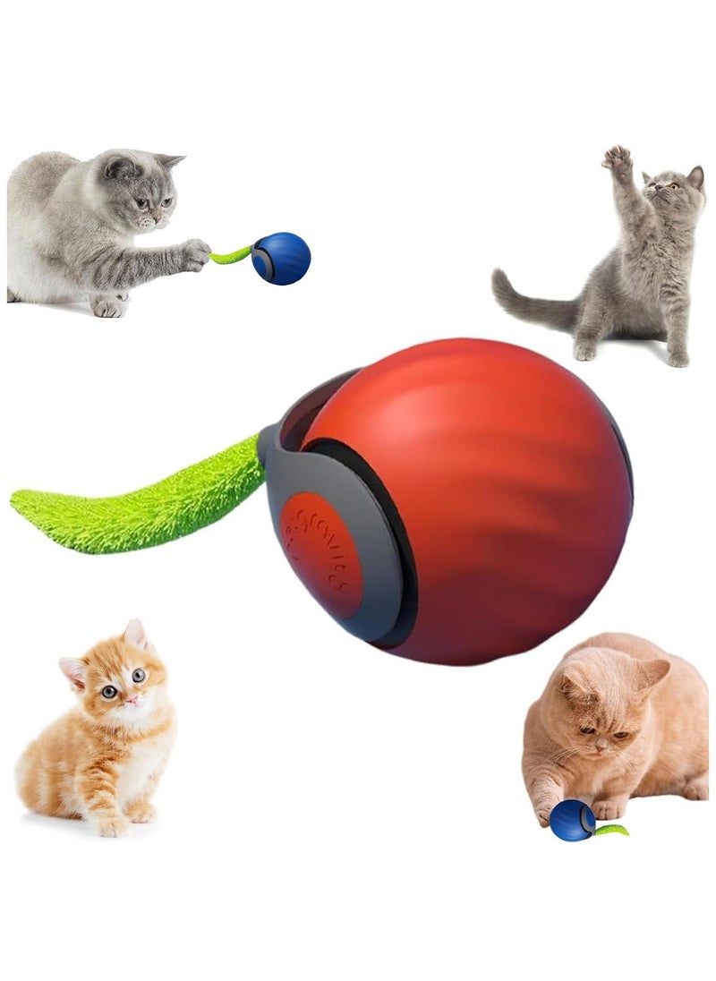 Generic - Speedy Tail 2.0,Speedy Tail Cat Toy,2025 New Generation Interactive Cat Toy,Interactive Cat Toys for Indoor Cats,Automatic Moving Cat Toy Ball with Tail (Orange) - Image 1