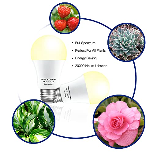 mfxmf 4 Pack LED Grow Light Bulbs A19 Bulb, Full Spectrum Plant Light Bulb, 9W E26 Grow Bulb Replace up to 80W, Grow Light for Indoor Plants, Flowers, Greenhouse, Indore Garden, Hydroponic - Image 4