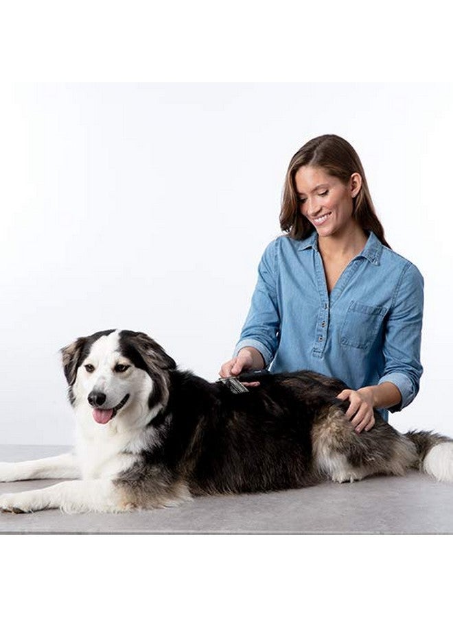 Bissell Dematting Comb for Dogs and Cats, 25371 - Image 4