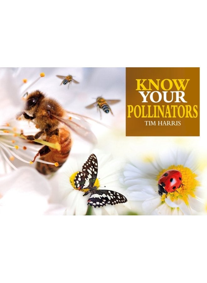Know Your Pollinators - Paperback