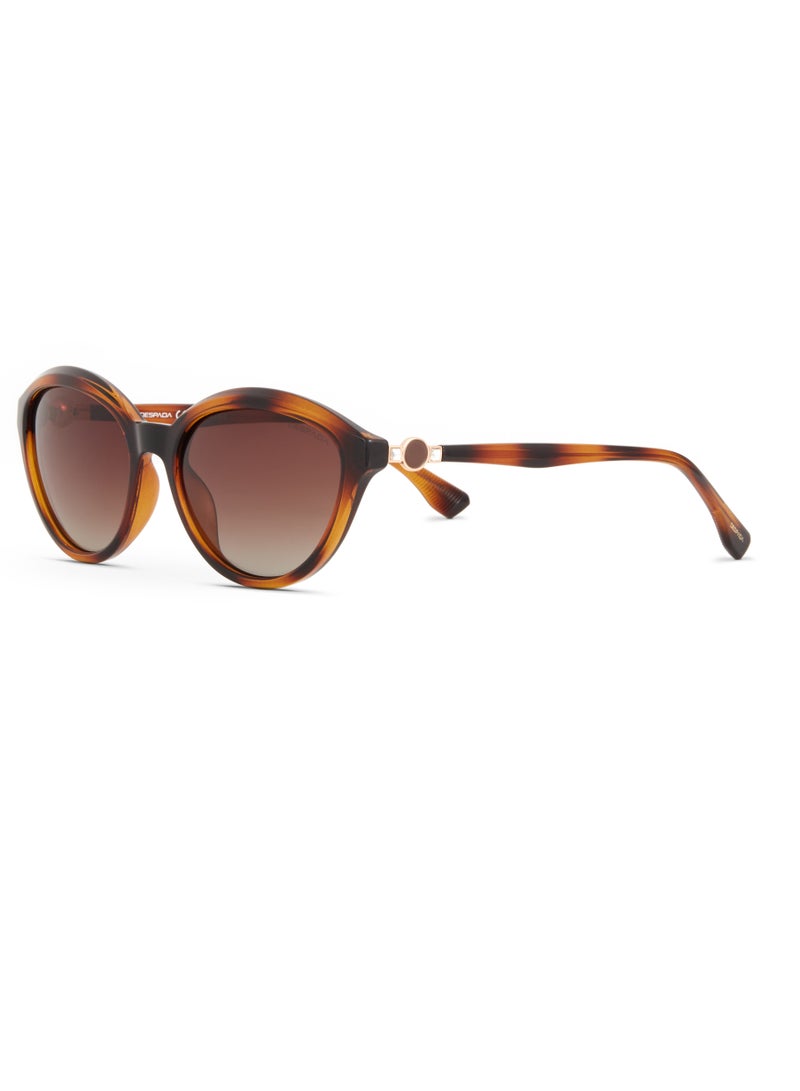 Despada Full Rim Polarized Cat-Eye DS 2355 C2