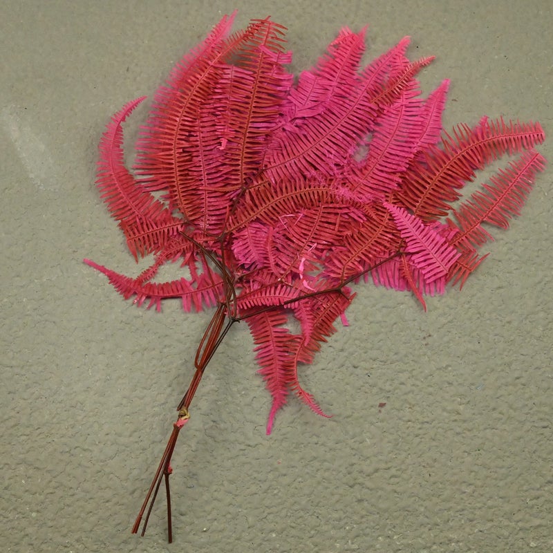 Bluejw Nordic Style Dried Fern Leaf Decoration – Preserved Real Fern for Valentine's Day, Wedding, and Home Decor - Image 3