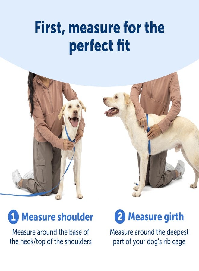 PetSafe Easy Walk Comfort No-Pull Dog Harness - Better Walk Training Harness - Full Body Padded Design - Durable Fabric - 5 Point Adjustable Fit - Everyday Leash Training - Blue - Medium/Large - Image 5