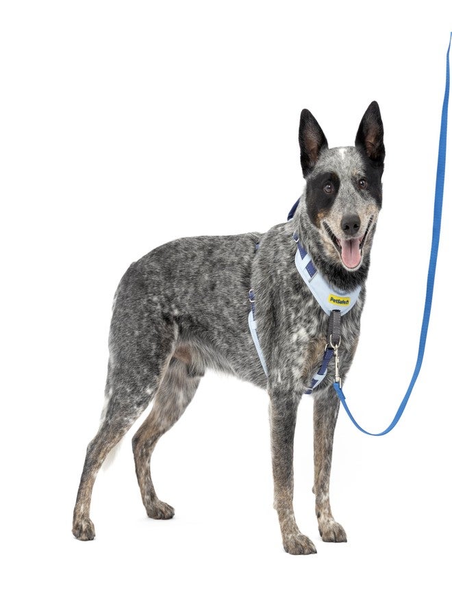 PetSafe Easy Walk Comfort No-Pull Dog Harness - Better Walk Training Harness - Full Body Padded Design - Durable Fabric - 5 Point Adjustable Fit - Everyday Leash Training - Blue - Medium/Large - Image 1