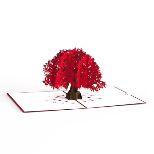 Lovepop Everyday Pop-Up Card for Her and Him- 3D Thinking of You Greeting Cards for Boys, Girls, Men, Women - 5" x 7" Maple Tree - Blank Note Card & Envelope Included - Image 5