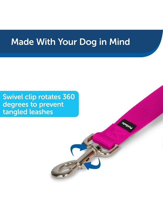 بيت سيف مقود الكلاب من النايلون من PetSafe - مقود قوي ومتين على الطراز التقليدي مع مشبك سهل الاستخدام للكلاب الصغيرة والمتوسطة والكبيرة - 3/4 بوصة × 6 أقدام، لون التوت - Image 2