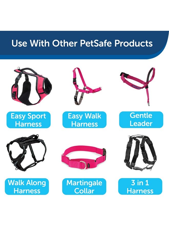 بيت سيف مقود الكلاب من النايلون من PetSafe - مقود قوي ومتين على الطراز التقليدي مع مشبك سهل الاستخدام للكلاب الصغيرة والمتوسطة والكبيرة - 3/4 بوصة × 6 أقدام، لون التوت - Image 5