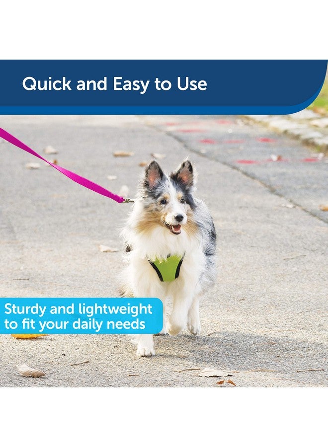 بيت سيف مقود الكلاب من النايلون من PetSafe - مقود قوي ومتين على الطراز التقليدي مع مشبك سهل الاستخدام للكلاب الصغيرة والمتوسطة والكبيرة - 3/4 بوصة × 6 أقدام، لون التوت - Image 3