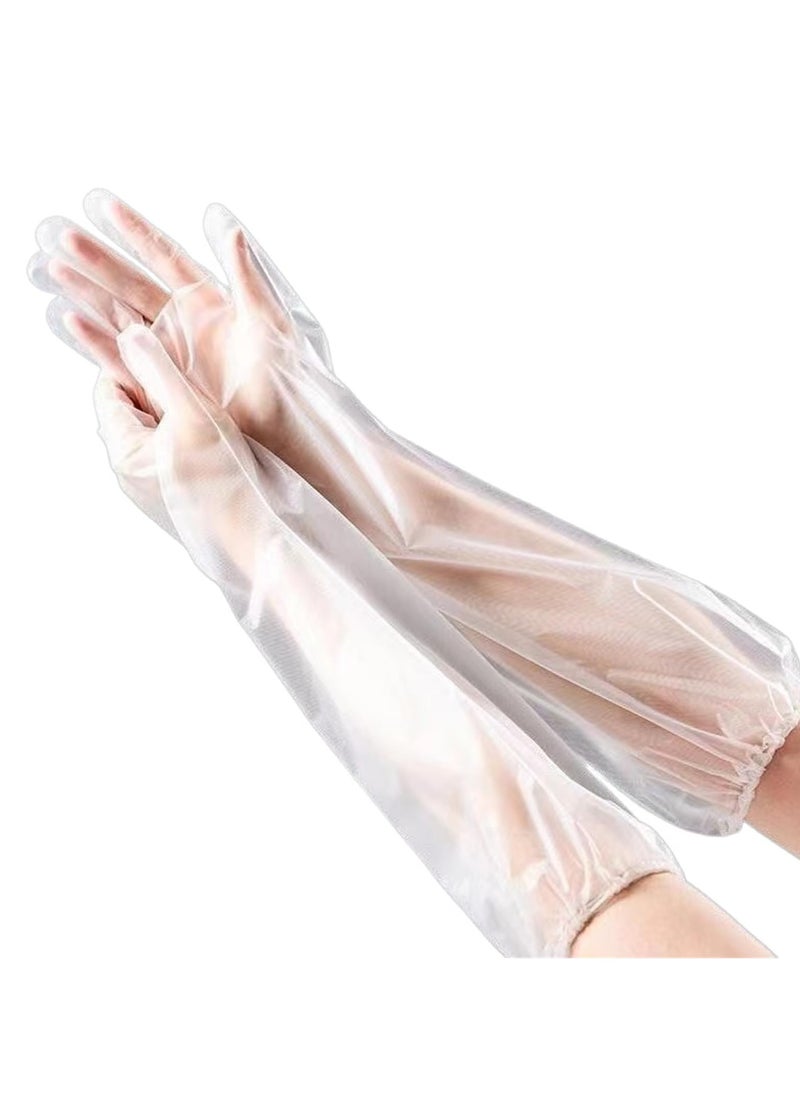 Generic Disposable CPE Long Arm Gloves – Extra Thick, Waterproof, Oil-Proof, Extended Length with Elastic Cuffs for Household Cleaning and Kitchen Use(10 pieces)  - Image 1