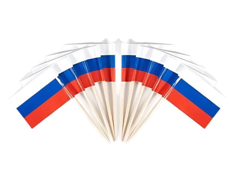 JAVD CYPS 100 Pcs Russia Flag Toothpicks, Mini Stick Cupcake Toppers, Country Picks for Parties & Celebrations - Image 1