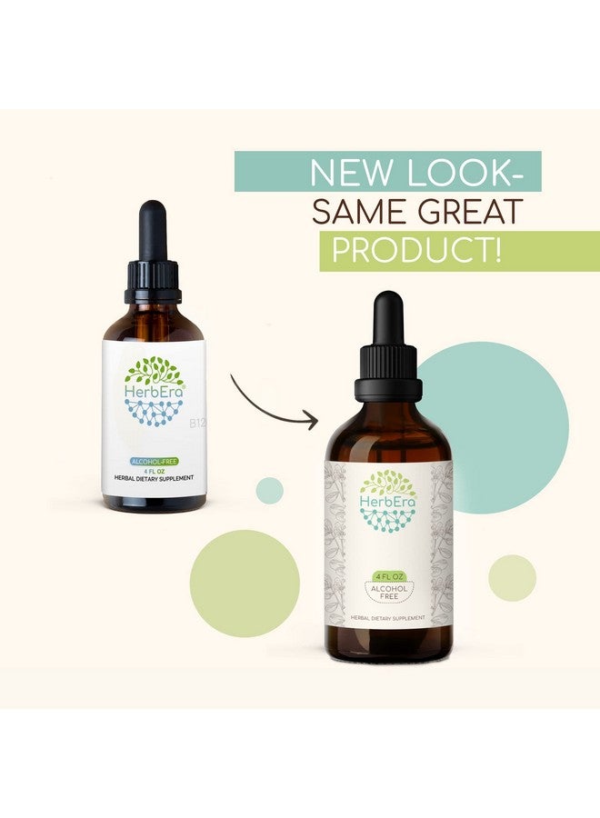 HerbEra Cramp Bark B60 Alcoholfree Herbal Extract Tincture Concentrated Liquid Drops Natural Cramp Bark (Viburnum Opulus) Dried Bark (2 Fl Oz) - Image 5