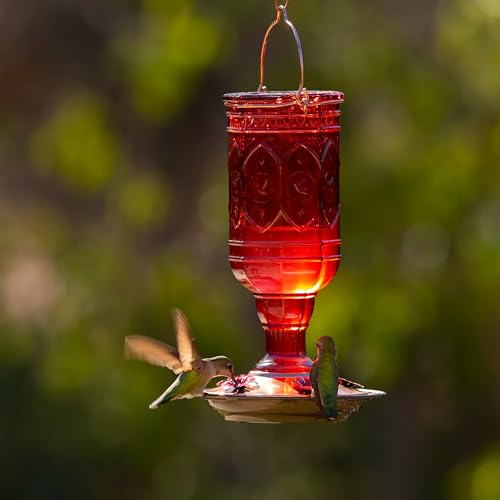 More Birds Red Jewel Hummingbird Feeder, Glass Hummingbird Feeders for Outdoors, 5 Feeding Stations, 20 Ounces - Image 2