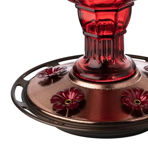 More Birds Red Jewel Hummingbird Feeder, Glass Hummingbird Feeders for Outdoors, 5 Feeding Stations, 20 Ounces - Image 4