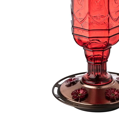 More Birds Red Jewel Hummingbird Feeder, Glass Hummingbird Feeders for Outdoors, 5 Feeding Stations, 20 Ounces - Image 5