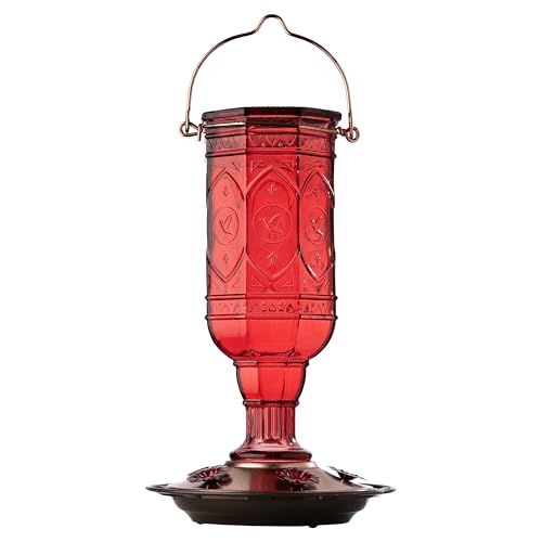 More Birds Red Jewel Hummingbird Feeder, Glass Hummingbird Feeders for Outdoors, 5 Feeding Stations, 20 Ounces - Image 1