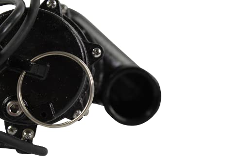 WAYNE RPP50-1/2 HP Cast Iron Sewage Pump with Piggy Back Tether Float Switch - Up to 6,200 Gallons Per Hour - Heavy Duty Sewage and Effluent Pump - Image 4