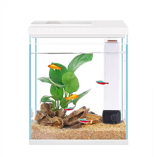 Pronetcus Betta Fish Tank, 2 Gallon Glass Aquarium Starter Kit, Small Fish Tank with Filter and Light.(White) - Image 1
