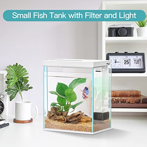 Pronetcus Betta Fish Tank, 2 Gallon Glass Aquarium Starter Kit, Small Fish Tank with Filter and Light.(White) - Image 2