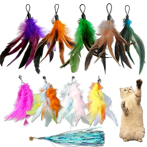 LogFaadCoi 10Pack of Vibrant Feathered Cat Toy Refills Perfect Wand Attachments for Indoor Cats Enhance Your Pets Playtime with These Exciting Replacement Feather Cat Toys - Image 1