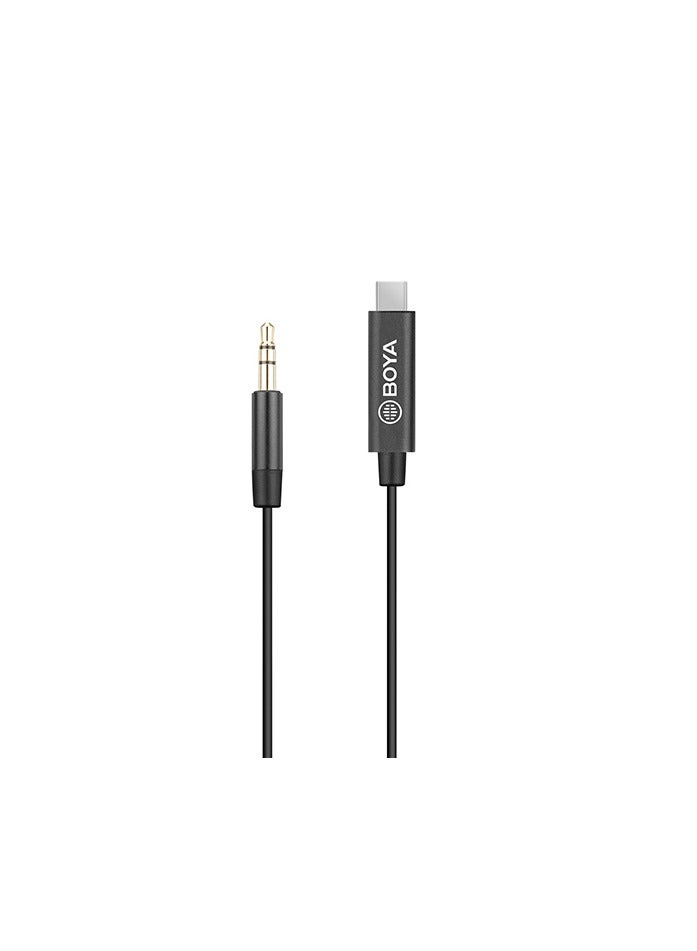 BOYA 3.5mm TRS (Male) to Type-C (Male) Audio Adapter - K2 - Image 2