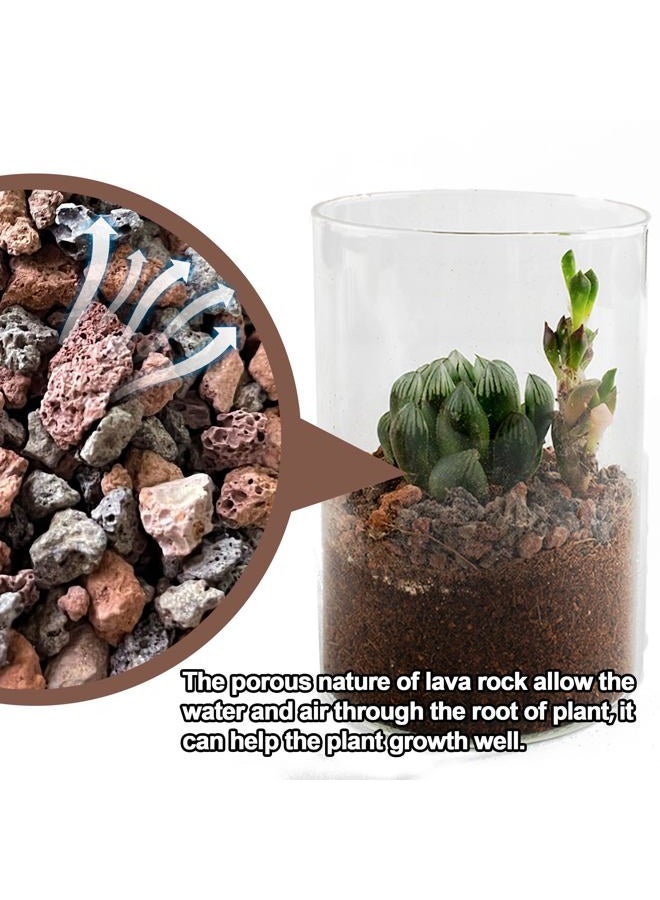 CJGQ 3lb Mix Lava Rocks for Plants - Horticultural Volcanic Rock Gravel for Landscaping, Succulents, Bonsai, Vase Fillers, Terrarium Plants, Top Dressing - Image 5