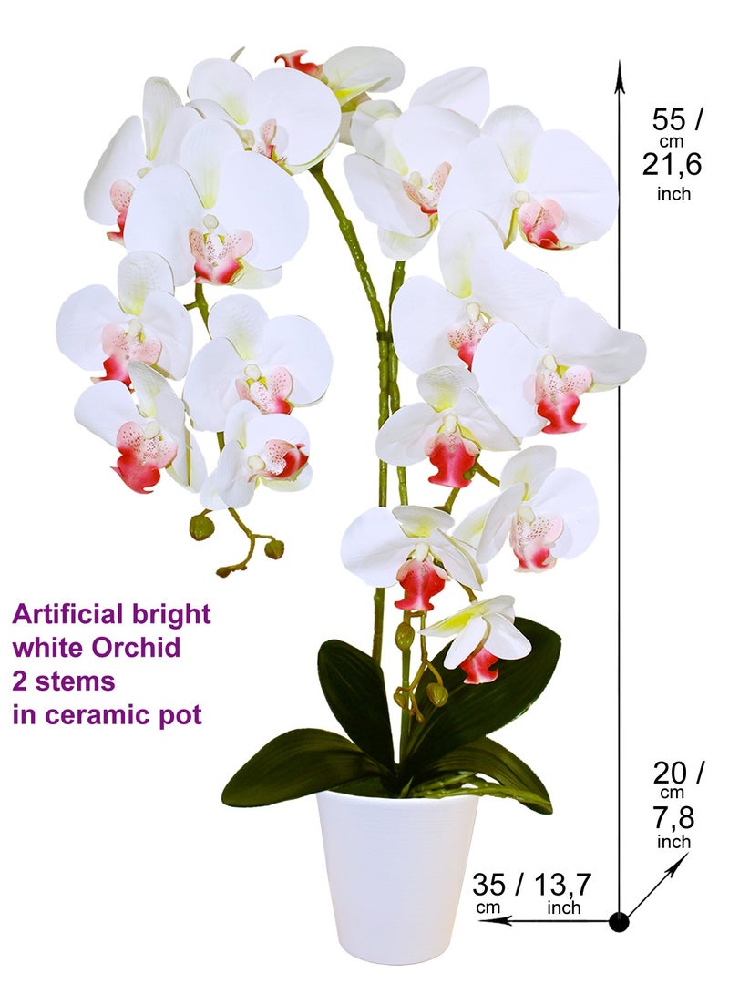 Generic Magic Style Artificial bright white orchid 2 stems in ceramic pot  - Image 2