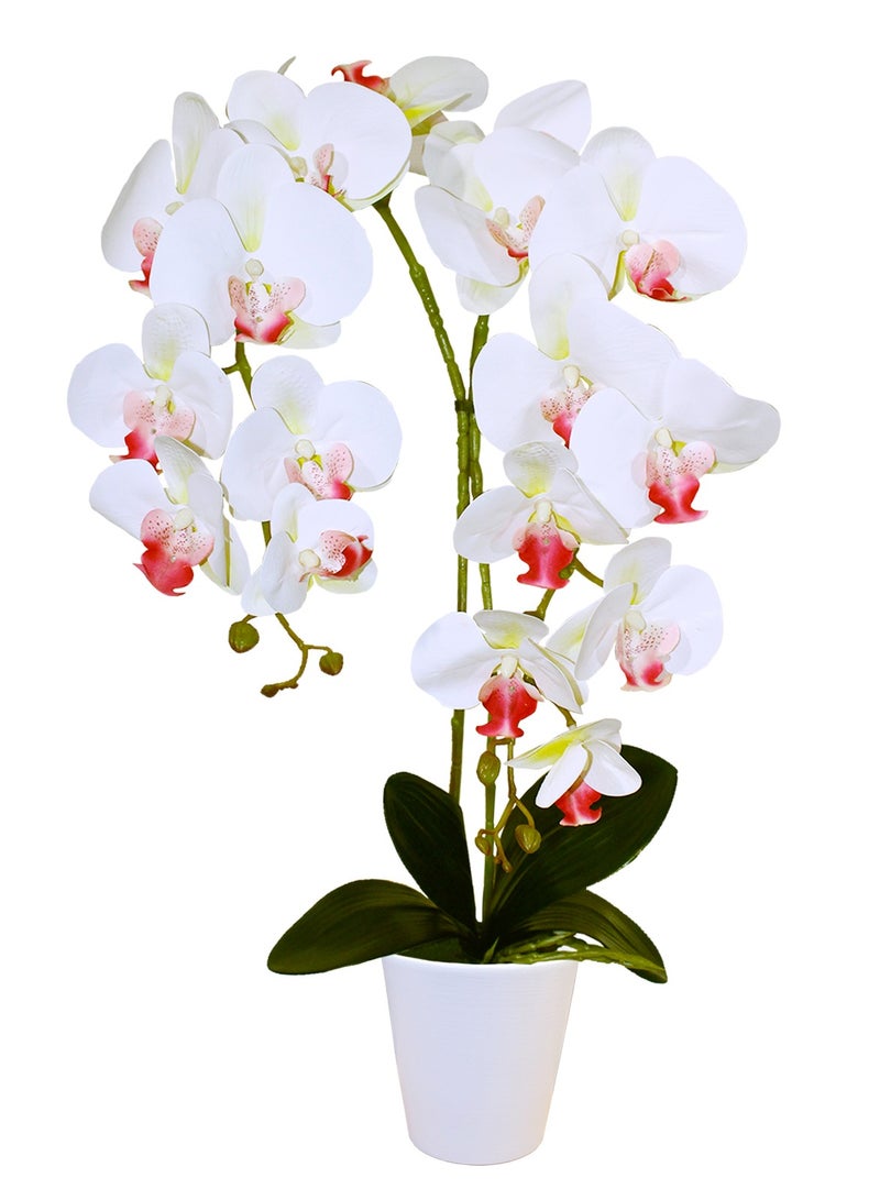 Generic Magic Style Artificial bright white orchid 2 stems in ceramic pot  - Image 1
