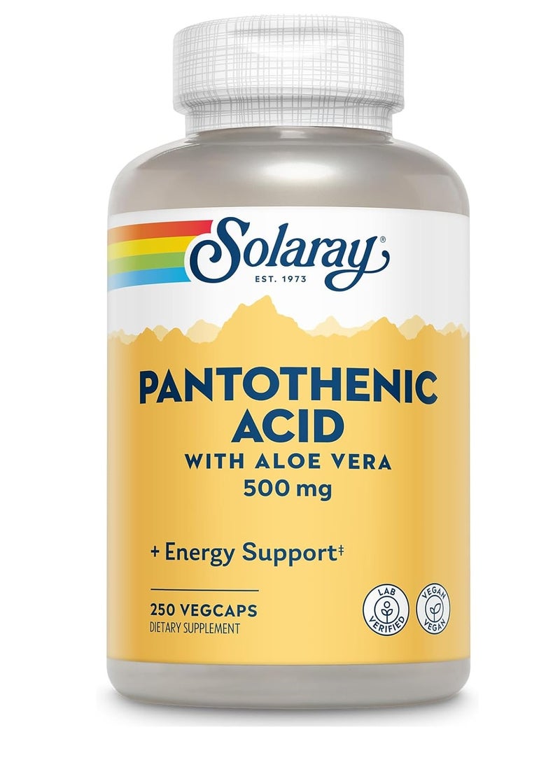 Solaray - Solaray Pantothenic ACID with Aloe vera 500mg 250 Caps - Image 1