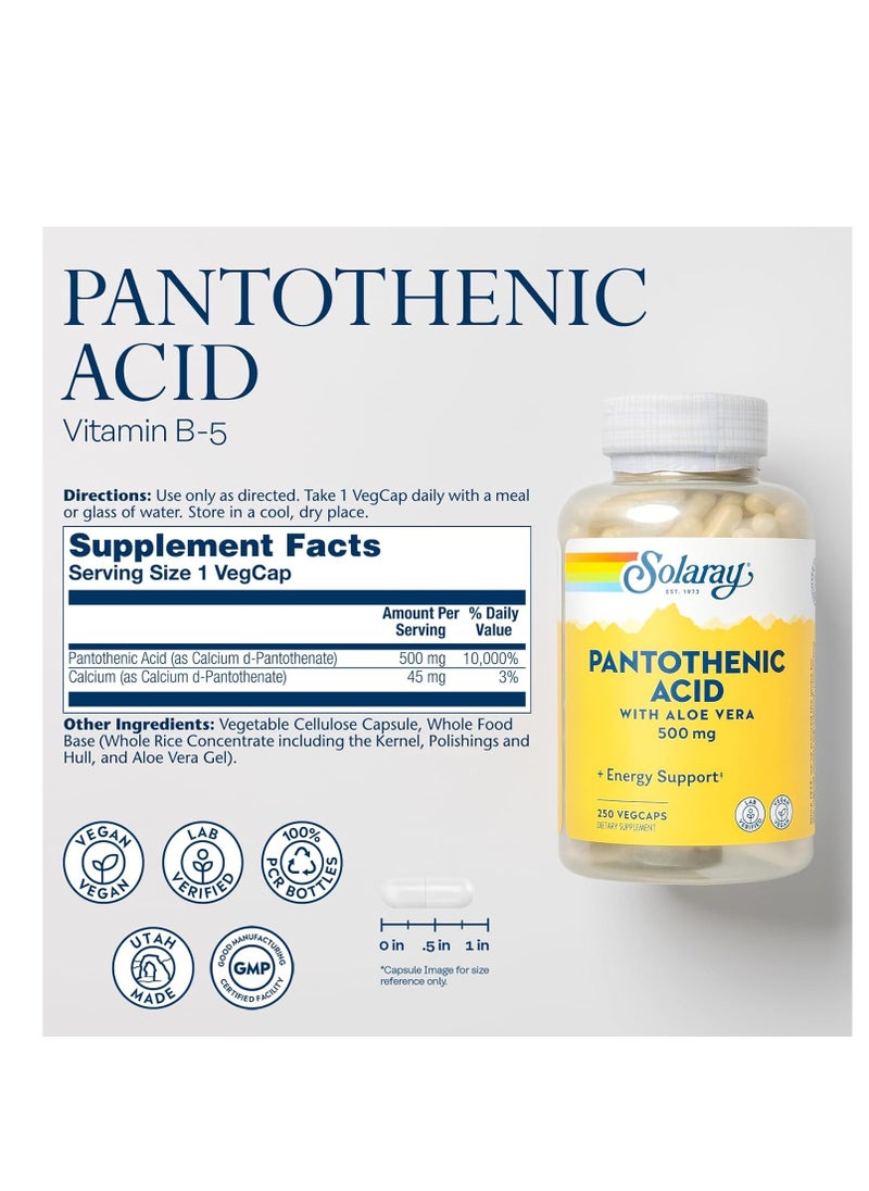 Solaray - Solaray Pantothenic ACID with Aloe vera 500mg 250 Caps - Image 1