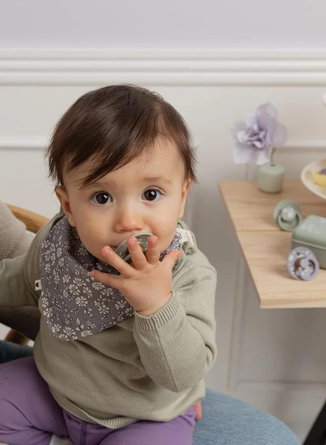 BIBS Liberty Colour Latex Pacifiers, Size 2, Capel Design, 2-Pack, Dusty Blue Mix