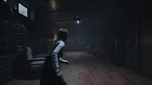 Maximum Entertainment Remothered: Broken Porcelain (PS4) - PlayStation 4 - Image 2