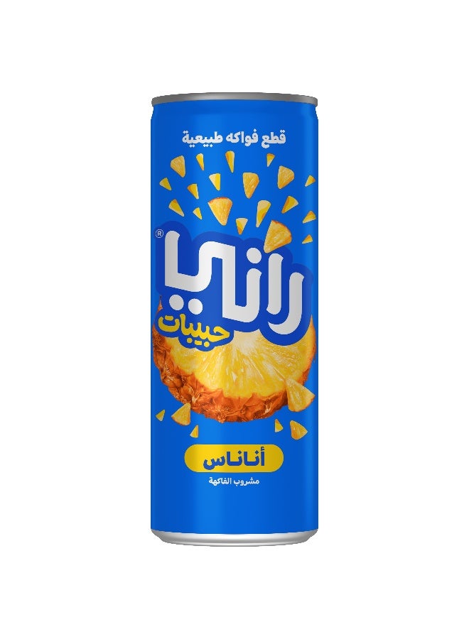 Rani عصير أناناس راني مع ف float 240 مل في علبة × 24 عبوة - Image 4