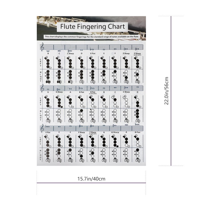 Practical Flute Finger Guide Chart Useful Flute Chord Chart for Flute Beginners - Image 2