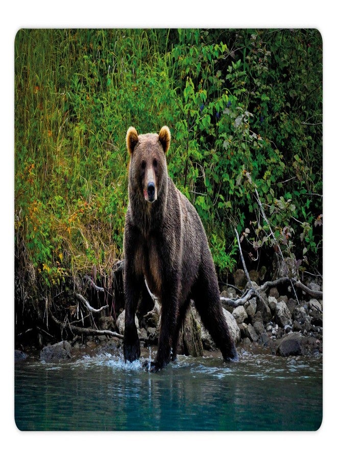 Lunarable Cabin Pet Mat for Food and Water, Grizzly Brown Bear in Lake Alaska Untouched Forest Jungle Wildlife Image, Non-Slip Rubber Mat for Dogs and Cats, 18" X 12", Brown Green - Image 1